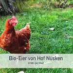 Am Maximilianpark - Dachterrasse, Highspeed-wlan, 2 Schlafzimmer
