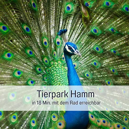 Apartment Am Maximilianpark *