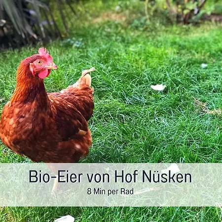 Am Maximilianpark - Dachterrasse, Highspeed-wlan, 2 Schlafzimmer