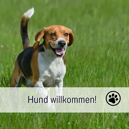 Am Maximilianpark Hamm *