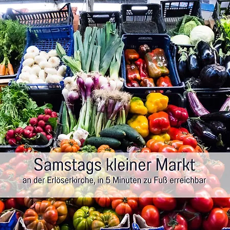 Am Maximilianpark Apartment *