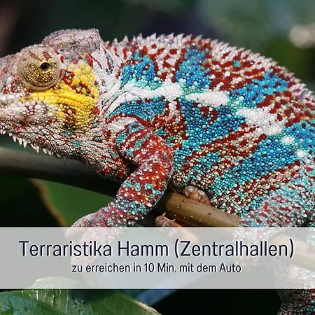 Апартаменты Am Maximilianpark *