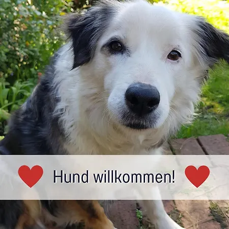 Am Maximilianpark - Dachterrasse, Highspeed-wlan, 2 Schlafzimmer Apartament *