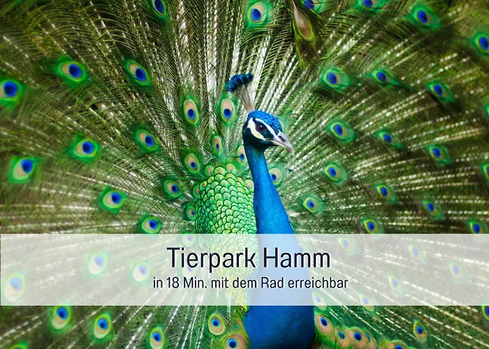 Appartement Am Maximilianpark *