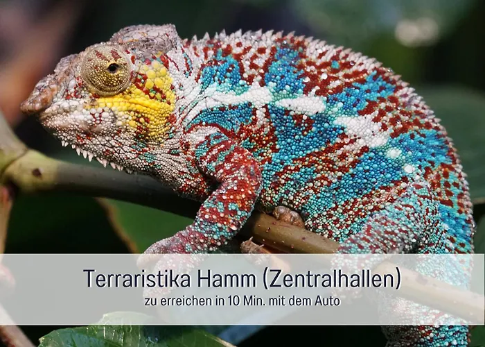 Appartement Am Maximilianpark *