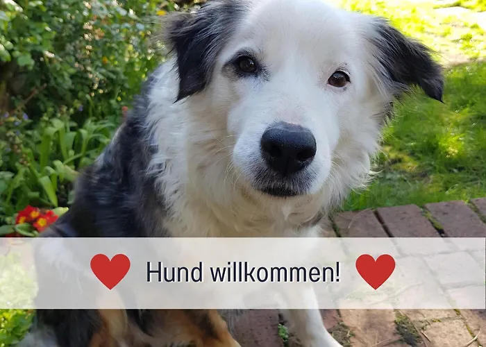 Am Maximilianpark 公寓 *